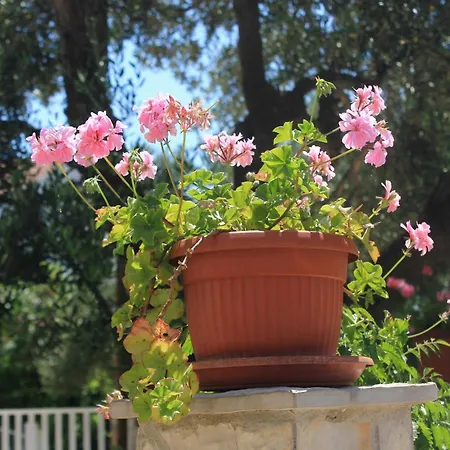 With Parking Space Orebic, Peljesac - 4552 דירה *