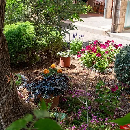 Apartment With Parking Space Orebic, Peljesac - 4552