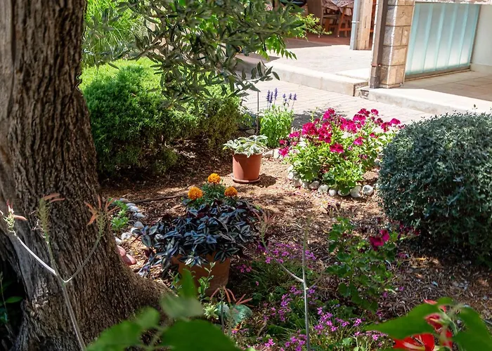 Apartman With Parking Space Orebic, Peljesac - 4552