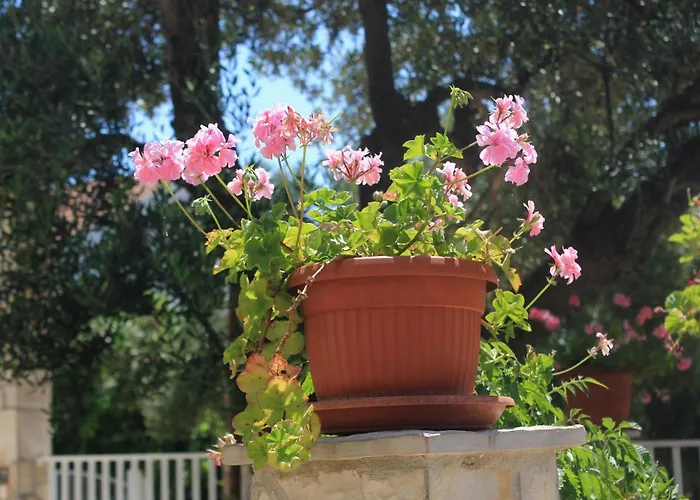 With Parking Space Orebic, Peljesac - 4552 Apartman *